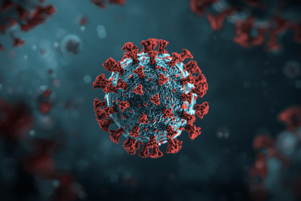 Hantavirus outbreak