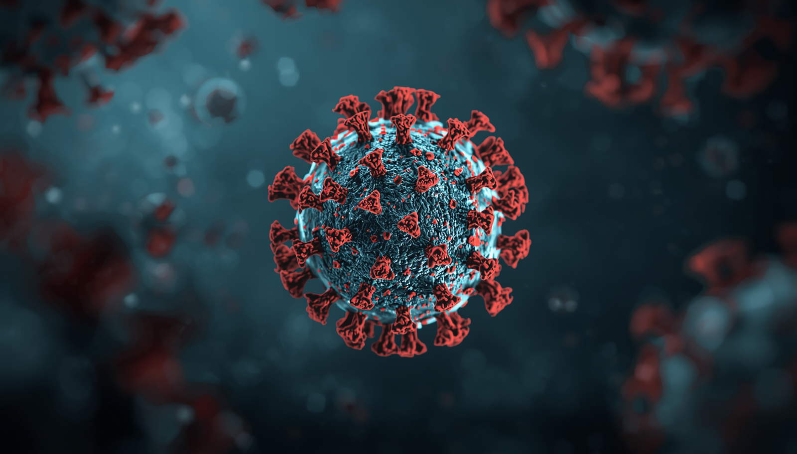 Hantavirus outbreak