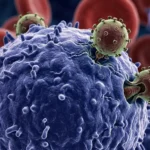 HIV virus attacking a lymphocyte